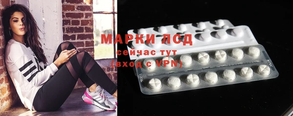 гидра Наволоки
