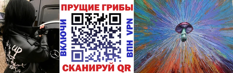 Купить где  Костомукша  Псилоцибиновые грибы Magic Shrooms 